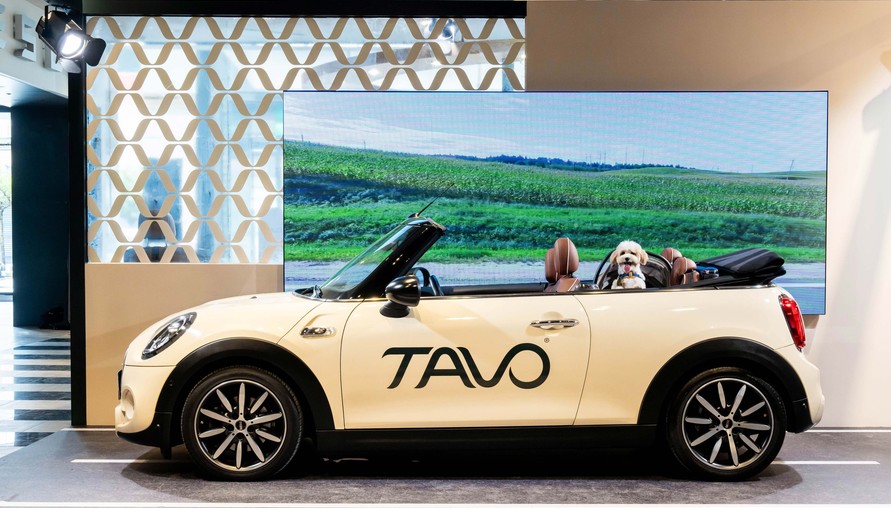 寵物出行新革命!TAVO推出3合1寵物保護座椅,安全舒適隨行!